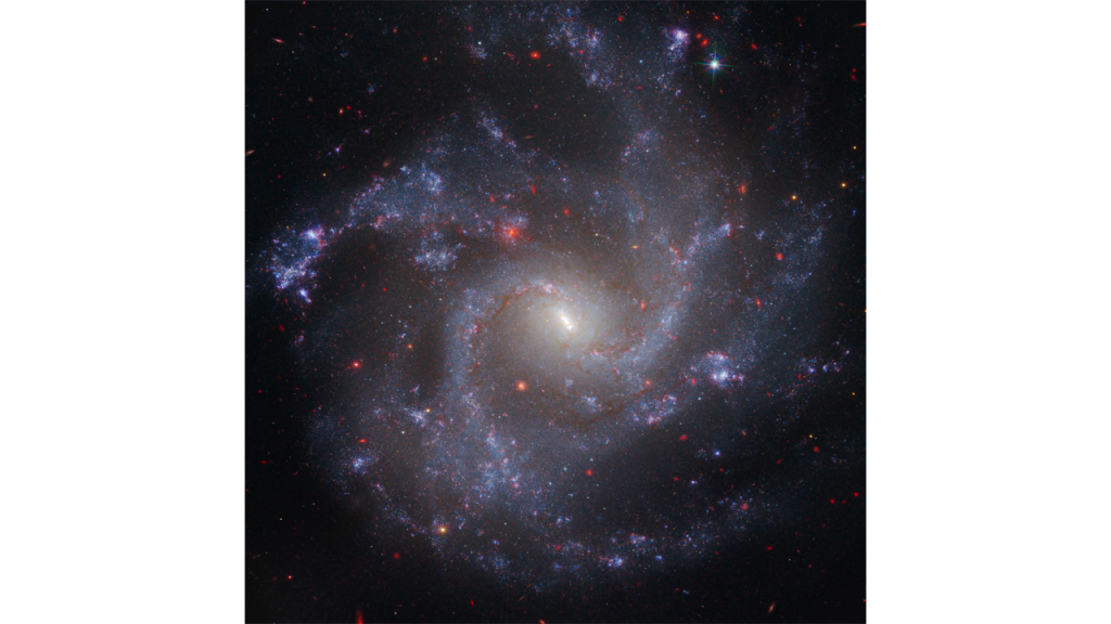 Exploring NGC 5488 Galaxy