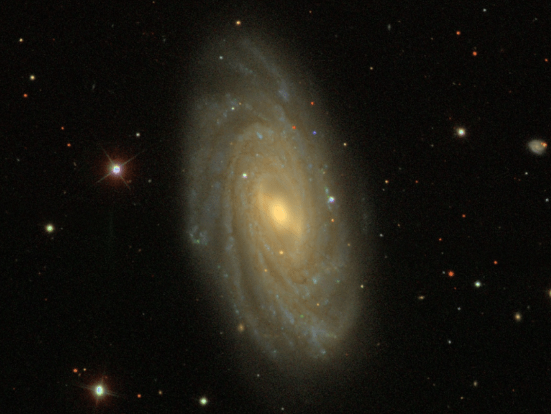 NGC 3953 : Unveiling the Secrets of a Barred Spiral Galaxy with an Inner&nbsp;Ring