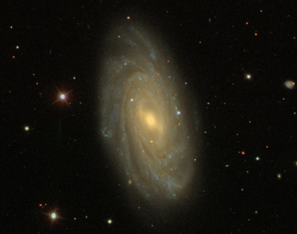 NGC 3953 : Unveiling the Secrets of a Barred Spiral Galaxy with an Inner&nbsp;Ring