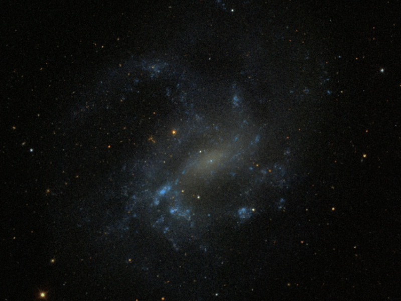 A Deep Dive into NGC 4395, The Seyfert Galaxy with a Tiny Black&nbsp;Hole