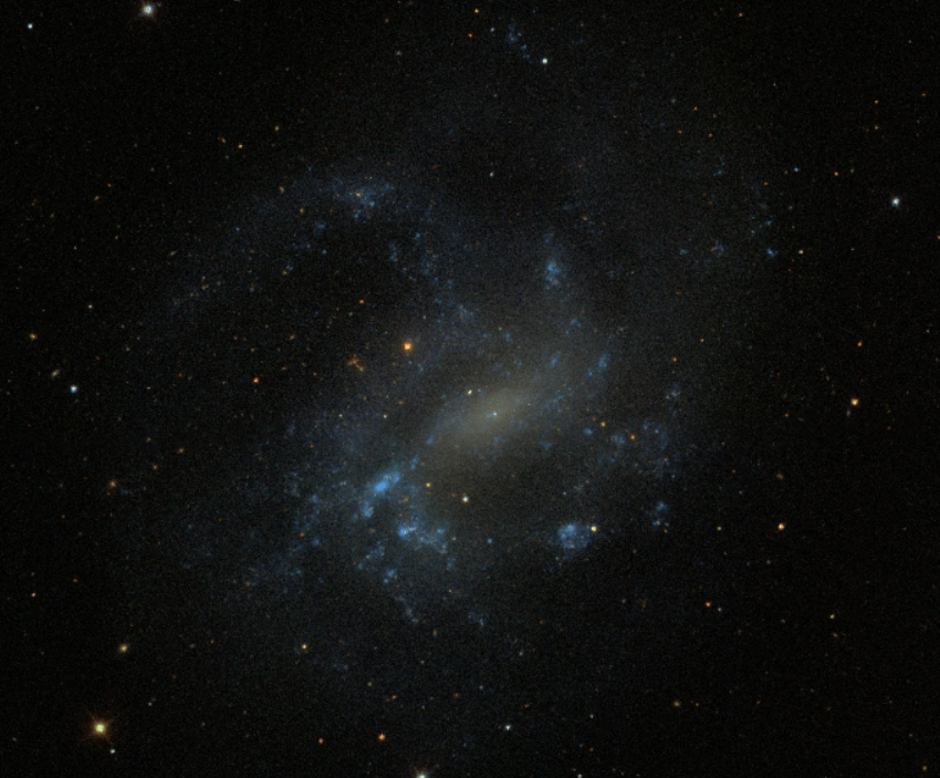 A Deep Dive into NGC 4395, The Seyfert Galaxy with a Tiny Black&nbsp;Hole