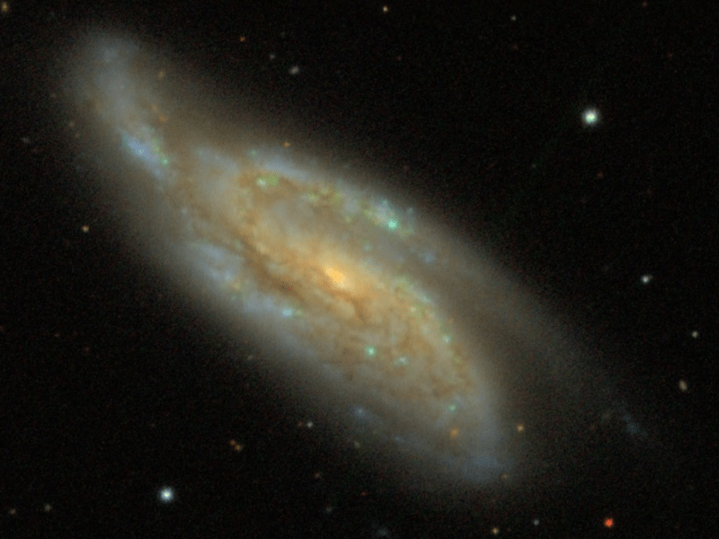 Unveiling the Whirling Arms of NGC 4088: A Journey into a Grand Design&nbsp;Spiral