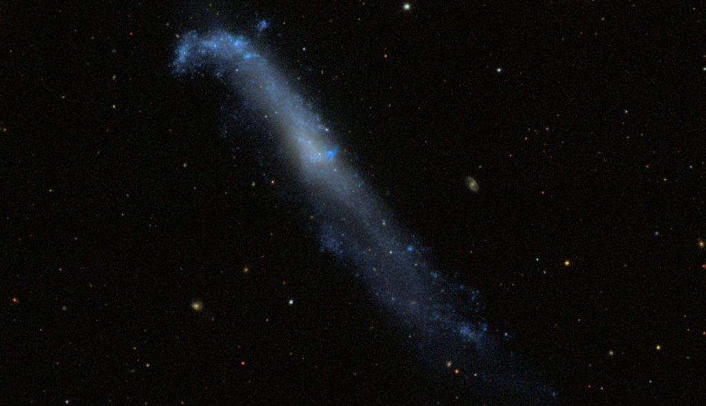 The Intriguing Hockey Stick Galaxy : NGC 4656