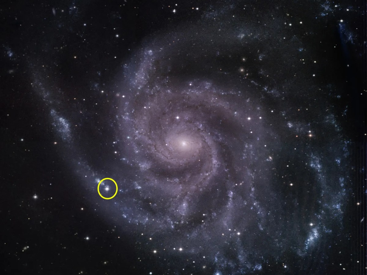 Ursa Major Illuminates: Supernova Explodes in Neighboring Pinwheel&nbsp;Galaxy